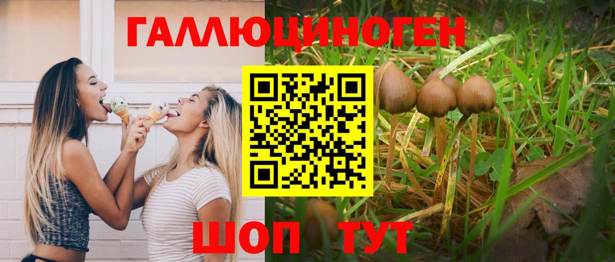 Псилоцибиновые грибы MAGIC MUSHROOMS Сальск